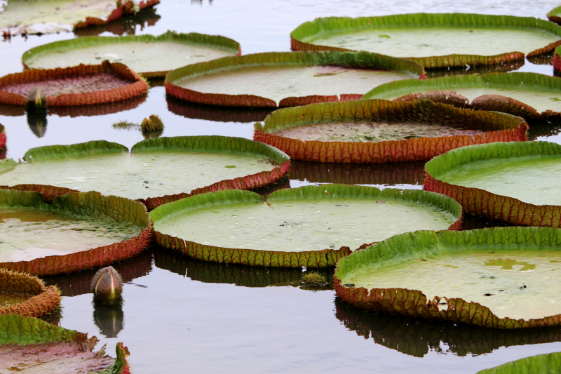 По Вьетнаму с вьетнамцами. С 25 сентября по 9 октября 2022 года. Hanoi - SаPа - Halong Bay - Nha Trang - Dalat - Hanoi.