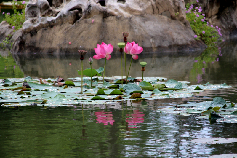 По Вьетнаму с вьетнамцами. С 25 сентября по 9 октября 2022 года. Hanoi - SаPа - Halong Bay - Nha Trang - Dalat - Hanoi.