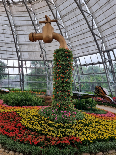 По Вьетнаму с вьетнамцами. С 25 сентября по 9 октября 2022 года. Hanoi - SаPа - Halong Bay - Nha Trang - Dalat - Hanoi.