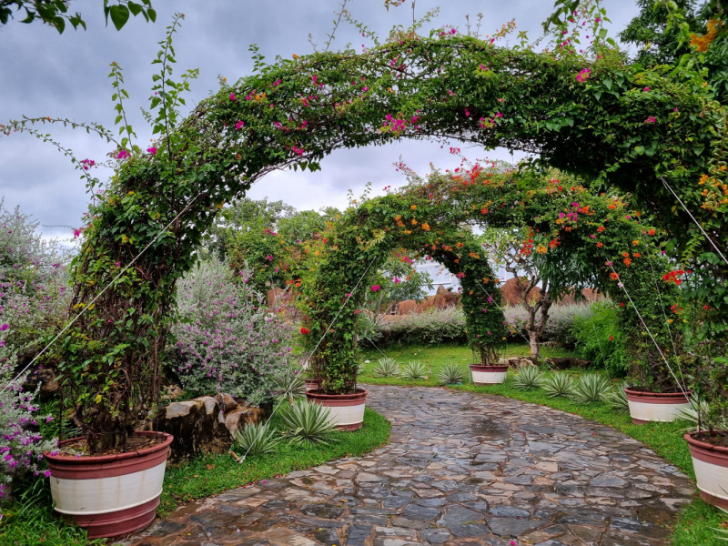 По Вьетнаму с вьетнамцами. С 25 сентября по 9 октября 2022 года. Hanoi - SаPа - Halong Bay - Nha Trang - Dalat - Hanoi.