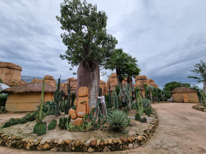 По Вьетнаму с вьетнамцами. С 25 сентября по 9 октября 2022 года. Hanoi - SаPа - Halong Bay - Nha Trang - Dalat - Hanoi.