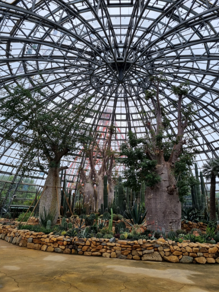 По Вьетнаму с вьетнамцами. С 25 сентября по 9 октября 2022 года. Hanoi - SаPа - Halong Bay - Nha Trang - Dalat - Hanoi.