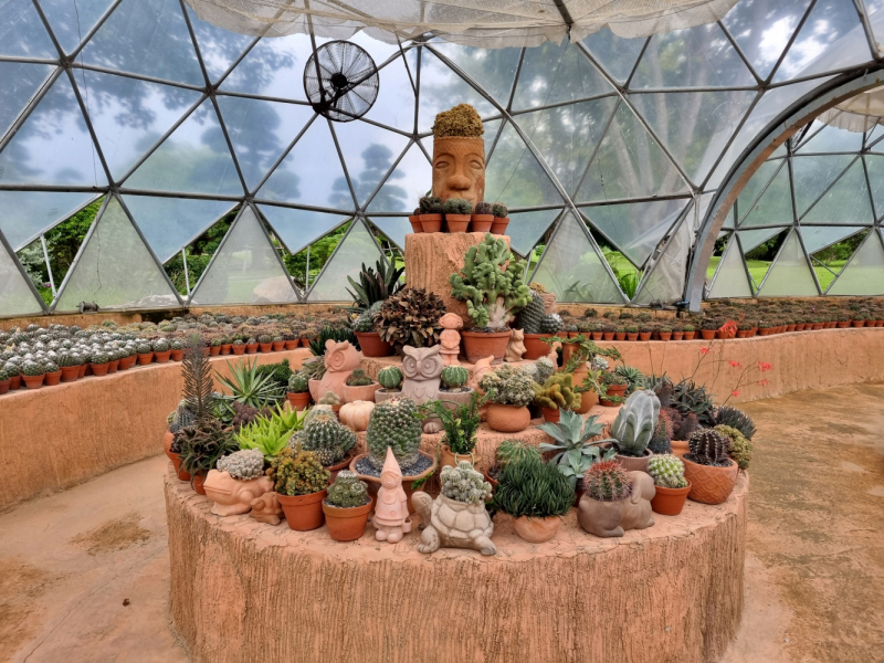 По Вьетнаму с вьетнамцами. С 25 сентября по 9 октября 2022 года. Hanoi - SаPа - Halong Bay - Nha Trang - Dalat - Hanoi.