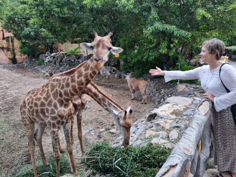 По Вьетнаму с вьетнамцами. С 25 сентября по 9 октября 2022 года. Hanoi - SаPа - Halong Bay - Nha Trang - Dalat - Hanoi.