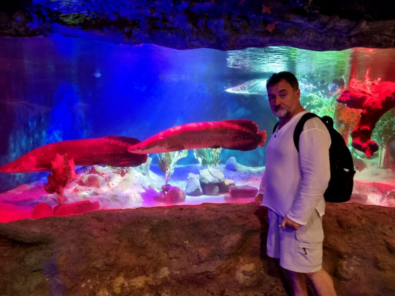 По Вьетнаму с вьетнамцами. С 25 сентября по 9 октября 2022 года. Hanoi - SаPа - Halong Bay - Nha Trang - Dalat - Hanoi.