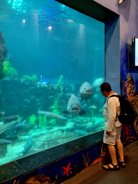 По Вьетнаму с вьетнамцами. С 25 сентября по 9 октября 2022 года. Hanoi - SаPа - Halong Bay - Nha Trang - Dalat - Hanoi.