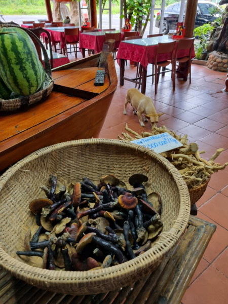 По Вьетнаму с вьетнамцами. С 25 сентября по 9 октября 2022 года. Hanoi - SаPа - Halong Bay - Nha Trang - Dalat - Hanoi.