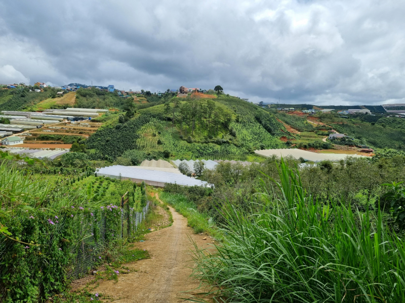 По Вьетнаму с вьетнамцами. С 25 сентября по 9 октября 2022 года. Hanoi - SаPа - Halong Bay - Nha Trang - Dalat - Hanoi.