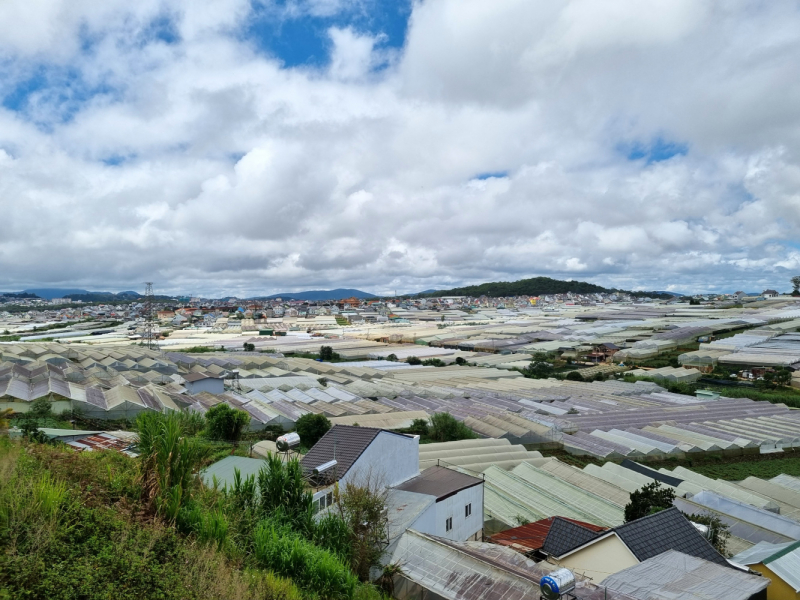 По Вьетнаму с вьетнамцами. С 25 сентября по 9 октября 2022 года. Hanoi - SаPа - Halong Bay - Nha Trang - Dalat - Hanoi.