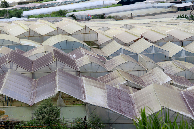 По Вьетнаму с вьетнамцами. С 25 сентября по 9 октября 2022 года. Hanoi - SаPа - Halong Bay - Nha Trang - Dalat - Hanoi.