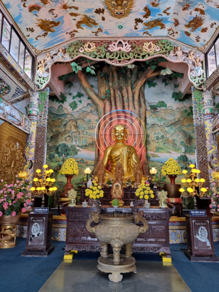 По Вьетнаму с вьетнамцами. С 25 сентября по 9 октября 2022 года. Hanoi - SаPа - Halong Bay - Nha Trang - Dalat - Hanoi.