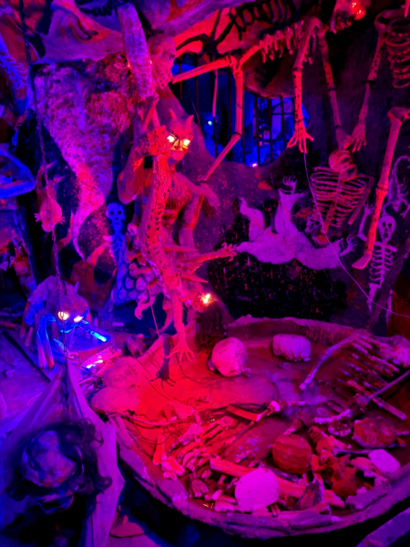 По Вьетнаму с вьетнамцами. С 25 сентября по 9 октября 2022 года. Hanoi - SаPа - Halong Bay - Nha Trang - Dalat - Hanoi.