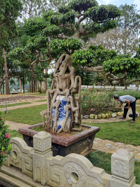 По Вьетнаму с вьетнамцами. С 25 сентября по 9 октября 2022 года. Hanoi - SаPа - Halong Bay - Nha Trang - Dalat - Hanoi.