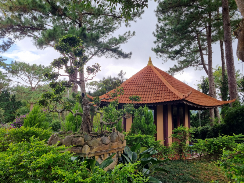 По Вьетнаму с вьетнамцами. С 25 сентября по 9 октября 2022 года. Hanoi - SаPа - Halong Bay - Nha Trang - Dalat - Hanoi.