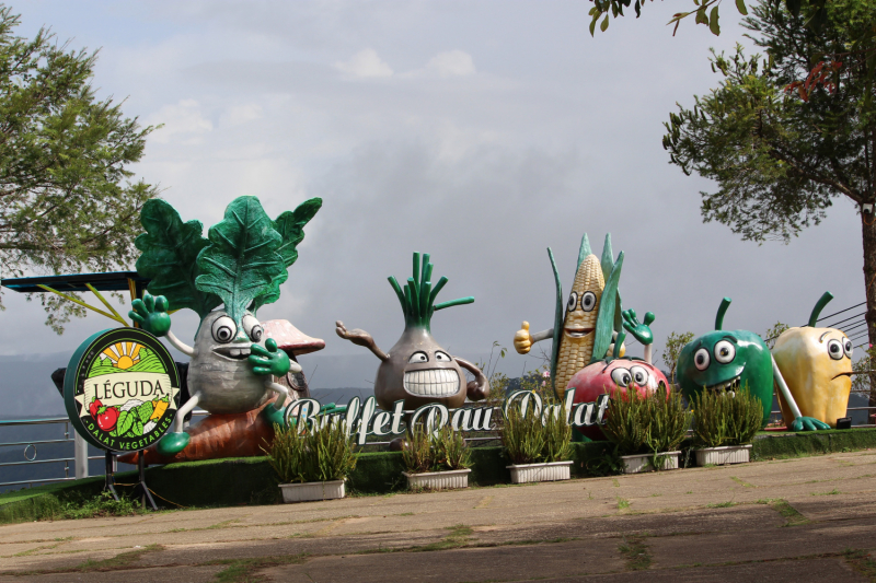 По Вьетнаму с вьетнамцами. С 25 сентября по 9 октября 2022 года. Hanoi - SаPа - Halong Bay - Nha Trang - Dalat - Hanoi.