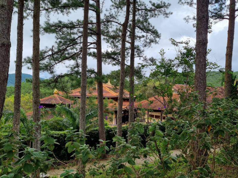 По Вьетнаму с вьетнамцами. С 25 сентября по 9 октября 2022 года. Hanoi - SаPа - Halong Bay - Nha Trang - Dalat - Hanoi.