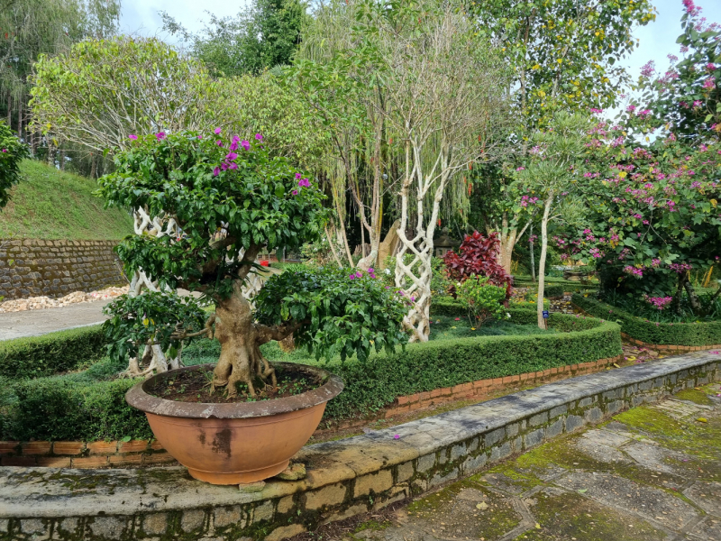 По Вьетнаму с вьетнамцами. С 25 сентября по 9 октября 2022 года. Hanoi - SаPа - Halong Bay - Nha Trang - Dalat - Hanoi.