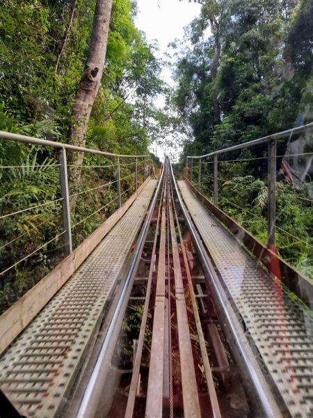 По Вьетнаму с вьетнамцами. С 25 сентября по 9 октября 2022 года. Hanoi - SаPа - Halong Bay - Nha Trang - Dalat - Hanoi.