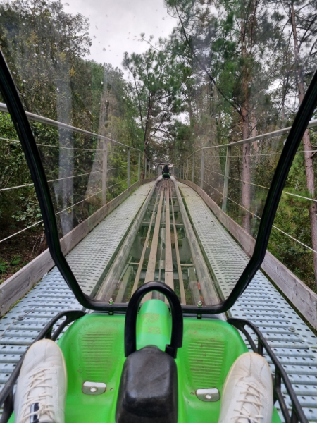 По Вьетнаму с вьетнамцами. С 25 сентября по 9 октября 2022 года. Hanoi - SаPа - Halong Bay - Nha Trang - Dalat - Hanoi.