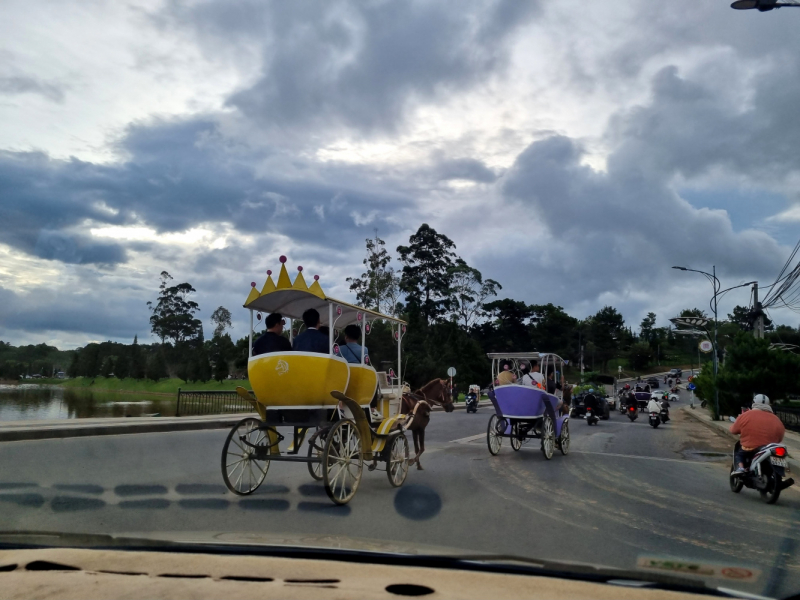 По Вьетнаму с вьетнамцами. С 25 сентября по 9 октября 2022 года. Hanoi - SаPа - Halong Bay - Nha Trang - Dalat - Hanoi.