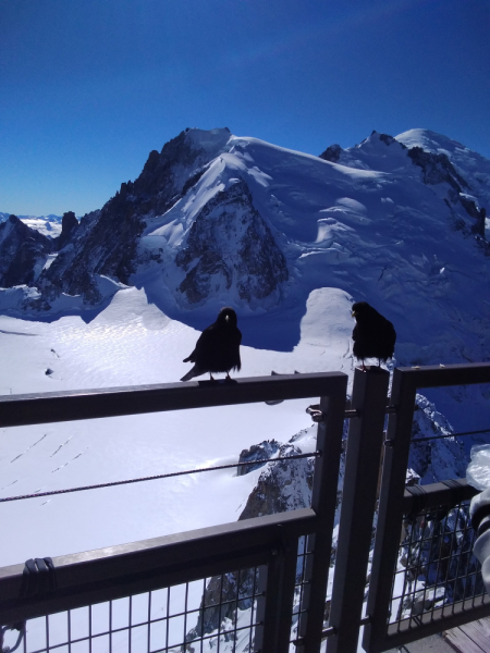 Эльзас, Люксембург, Монако и другие кусочки паззла - не съесть, но надкусить.