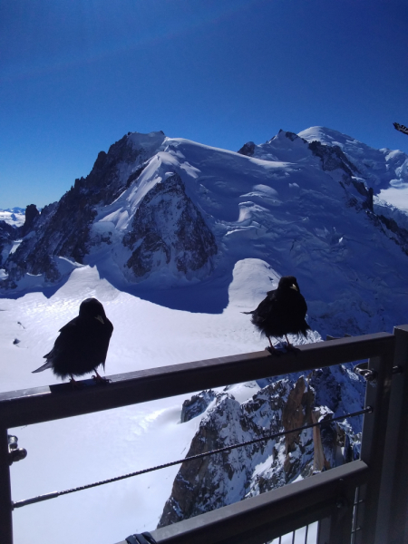 Эльзас, Люксембург, Монако и другие кусочки паззла - не съесть, но надкусить.