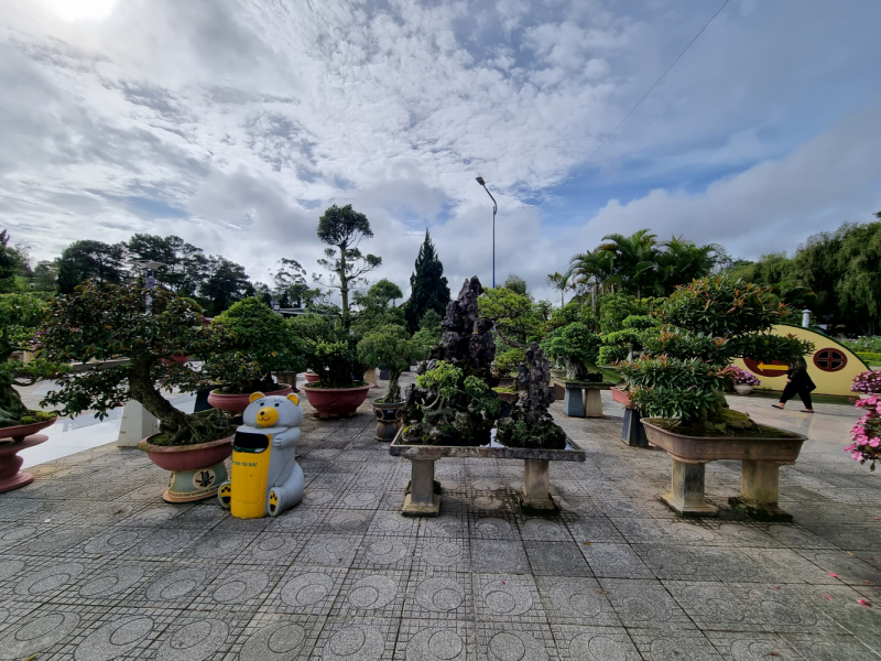 По Вьетнаму с вьетнамцами. С 25 сентября по 9 октября 2022 года. Hanoi - SаPа - Halong Bay - Nha Trang - Dalat - Hanoi.