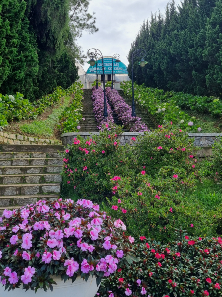 По Вьетнаму с вьетнамцами. С 25 сентября по 9 октября 2022 года. Hanoi - SаPа - Halong Bay - Nha Trang - Dalat - Hanoi.