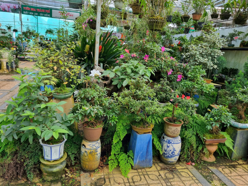 По Вьетнаму с вьетнамцами. С 25 сентября по 9 октября 2022 года. Hanoi - SаPа - Halong Bay - Nha Trang - Dalat - Hanoi.