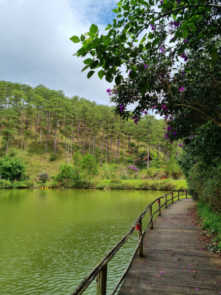 По Вьетнаму с вьетнамцами. С 25 сентября по 9 октября 2022 года. Hanoi - SаPа - Halong Bay - Nha Trang - Dalat - Hanoi.