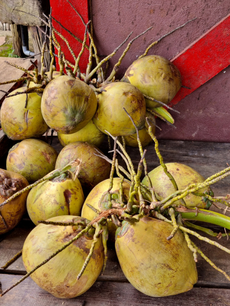 По Вьетнаму с вьетнамцами. С 25 сентября по 9 октября 2022 года. Hanoi - SаPа - Halong Bay - Nha Trang - Dalat - Hanoi.