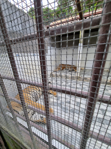 По Вьетнаму с вьетнамцами. С 25 сентября по 9 октября 2022 года. Hanoi - SаPа - Halong Bay - Nha Trang - Dalat - Hanoi.