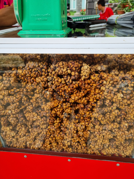 По Вьетнаму с вьетнамцами. С 25 сентября по 9 октября 2022 года. Hanoi - SаPа - Halong Bay - Nha Trang - Dalat - Hanoi.