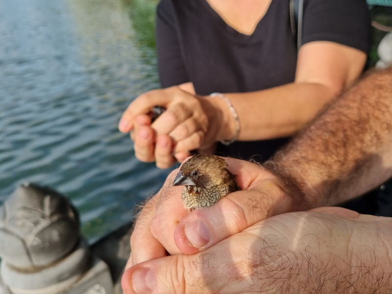 По Вьетнаму с вьетнамцами. С 25 сентября по 9 октября 2022 года. Hanoi - SаPа - Halong Bay - Nha Trang - Dalat - Hanoi.