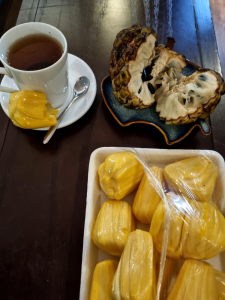 По Вьетнаму с вьетнамцами. С 25 сентября по 9 октября 2022 года. Hanoi - SаPа - Halong Bay - Nha Trang - Dalat - Hanoi.