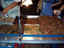 Таиланд. Поездка, август, 2010