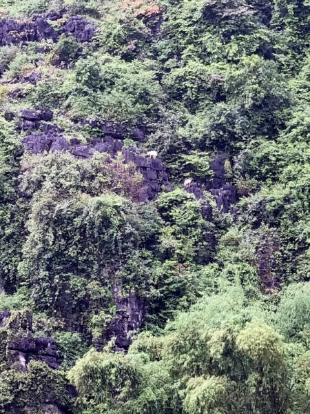 По Вьетнаму с вьетнамцами. С 25 сентября по 9 октября 2022 года. Hanoi - SаPа - Halong Bay - Nha Trang - Dalat - Hanoi.