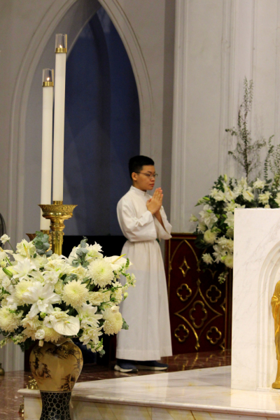 По Вьетнаму с вьетнамцами. С 25 сентября по 9 октября 2022 года. Hanoi - SаPа - Halong Bay - Nha Trang - Dalat - Hanoi.