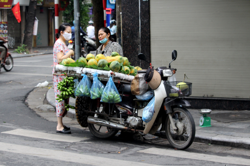 По Вьетнаму с вьетнамцами. С 25 сентября по 9 октября 2022 года. Hanoi - SаPа - Halong Bay - Nha Trang - Dalat - Hanoi.