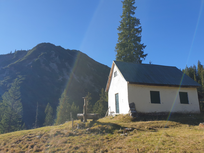 Альпийский дневник