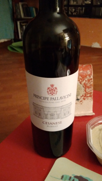 La mia vita. Римские записки, дневник онлайн