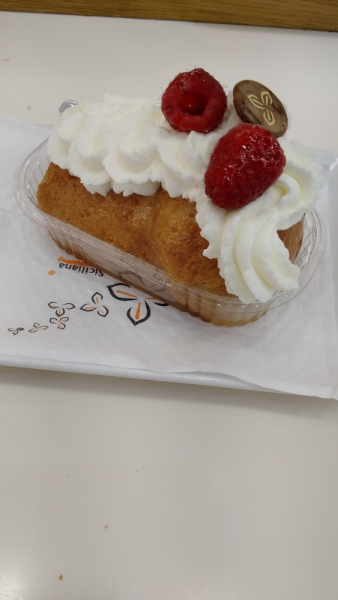 La mia vita. Римские записки, дневник онлайн