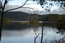 Австралия. Тасмания. Январь 2012 год.