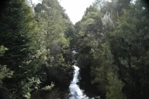 Австралия. Тасмания. Январь 2012 год.