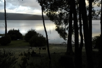 Австралия. Тасмания. Январь 2012 год.