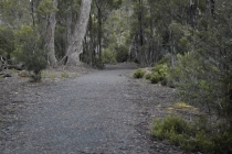 Австралия. Тасмания. Январь 2012 год.