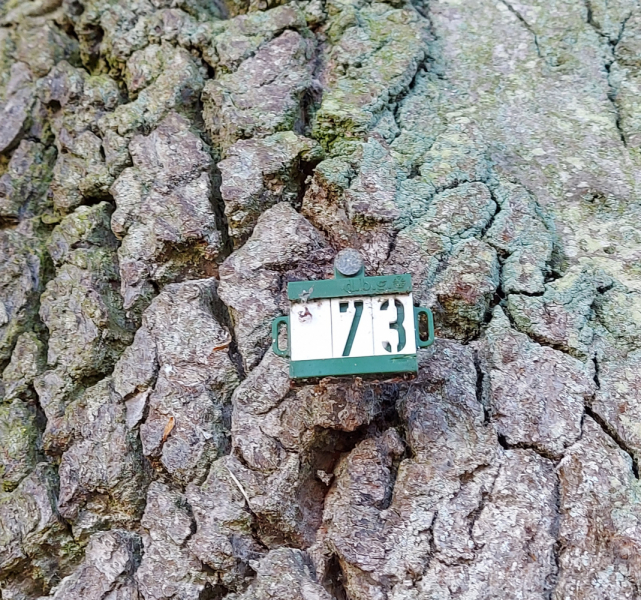 Хроника Осенний вояж 2022 Испания Франция Германия