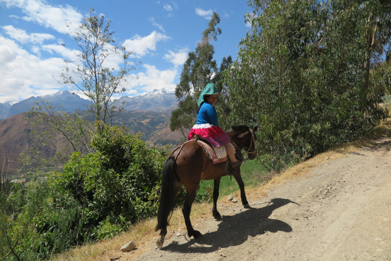 Активный взгляд на Перу летом 2022 г. (трое здоровы, а у одного ножка болит)
