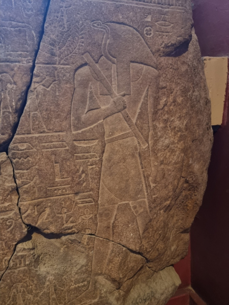 План длинной в треть жизни_Исторический Египет в одиночку+Дахаб_2022