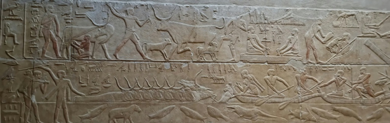 План длинной в треть жизни_Исторический Египет в одиночку+Дахаб_2022